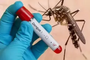 Ho Chi Minh City urgently responds to dengue fever outbreak