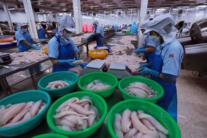 Trade value reaches over US$470 billion from January to mid-July