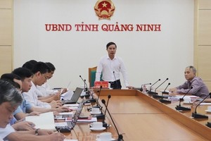 Quang Ninh eyes storm warning system in Ha Long, Bai Tu Long Bays
