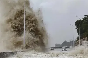 One to two storms can operate over East Sea in August