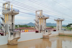 Mekong Delta flooding higher than normal this year