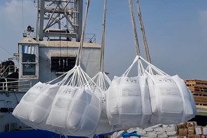 Vietnam’s rice export set to surpass 8.2 million tons