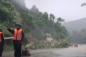 Storm Nongfa weakens over Laos, heavy rain persists in Central Vietnam