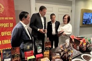 Vietnamese coffee promoted in Canadian market