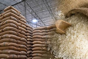 Grain gains as rice tender hits full mark