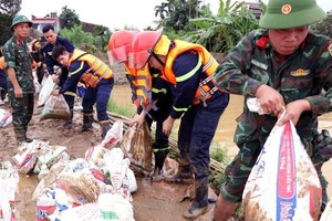 Protecting dykes – a must in disaster response