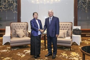 Vietnam grateful for Cambodia’s solidarity following recent natural disasters