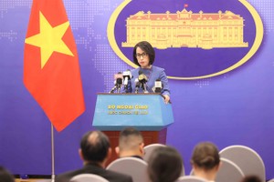 Vietnam works with partner countries to protect citizens in Cambodia
