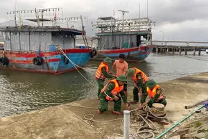 Vessels urged to take proactive measures in response to typhoon Fengshen