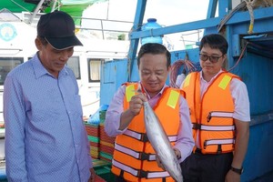 HCMC strengthens fishing vessel control