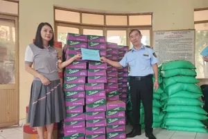 Quang Ngai calls for aid, essential goods for residents isolated by landslides