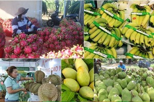Vietnam’s fruit, vegetable exports exceed US$7 billion in 10 months