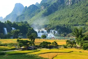 Vietnam welcomes nearly 17.2 million international visitors in 10 months