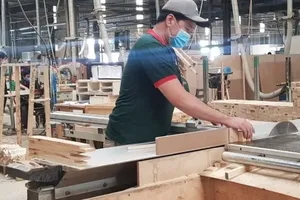 Vietnam's wood exports reach US$16.5 billion in 11 months