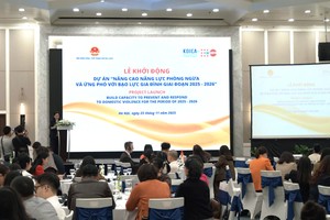 Domestic violence prevention project launched