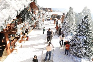 Tourism sector ramps up for Christmas, New Year peak season