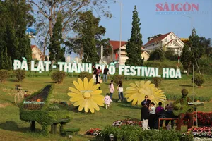 Da Lat welcomes New Year with peaceful roads and romantic scenery