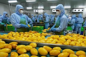 Vietnam’s fruit, vegetable sector poised to hit US$10 billion in exports