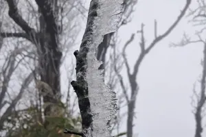 Northern region sees freezing cold as temperatures drop to 4 degrees Celsius