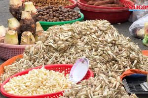 Fresh scallion bulbs go on sale at traditional markets across Ho Chi Minh City