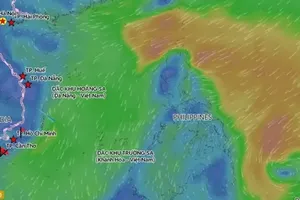 Tropical depression forms near East Sea