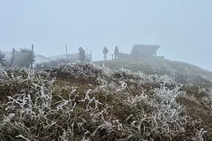 Severe cold grips Mau Son as temperatures fall to one degree Celsius