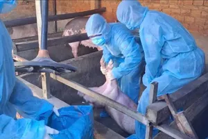 Quang Ngai proposes over VND106 bln in support for disease damage