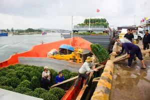 Tet goods cross sea to reach Ly Son Special Zone