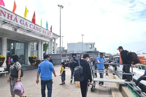 Quang Ngai plans transport for Ly Son residents ahead of Tet amid bad weather