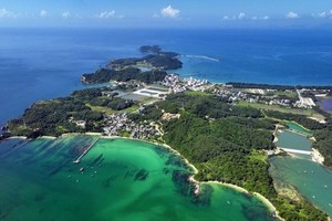 Co To to offer free vessel trips to/from island on 29th day of last lunar month