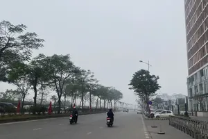 Cold spell to hit North from first day of Lunar New Year