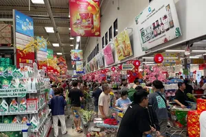 Tet shopping bustle peaks in Ho Chi Minh City