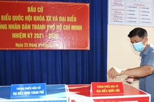 Ho Chi Minh City to use colored blank paper for printing voter cards