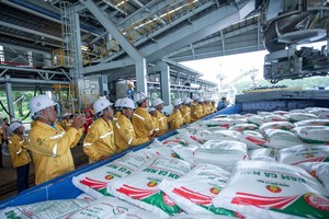 Vietnamese firm successfully exports first 40,000 tons of fertilizer to US