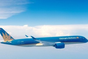 Vietnam Airlines maintains 12 direct routes linking Vietnam, Europe