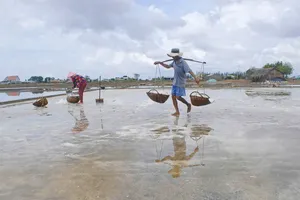 Unseasonal rains cause heavy losses to agriculture in Mekong Delta