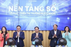 Digital platform on overseas market development launched