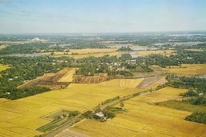 Fragrant rice deepens EU market presence