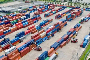 Empty container supply holds steady at Cai Mep amid global logistics strains