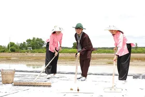 Traditional salt-making gains new vitality