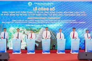 Da Nang inaugurates Lien Chieu Port infrastructure, launches mega project
