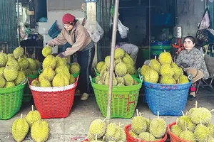 Fruit prices plunge as oversupply hits Southern markets