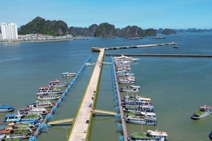 Sea tour launched to connect Ha Long, Lan Ha bays