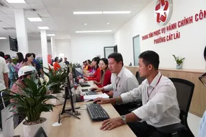 HCMC to review deployment, effectiveness of non-professional personnel