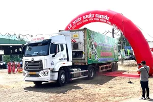 Dong Nai exports 220 tons of fresh bananas