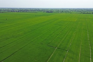 State loan subsidies to be tied to environmental standards