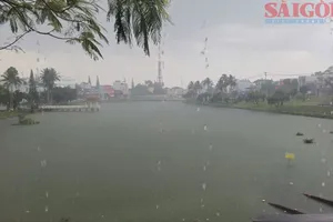 Widespread heavy rainfall eases heat, forest fire risks in Lam Dong
