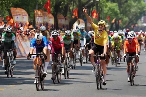 Foreign players inject new energy into Vietnamese sports