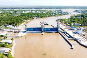 Salinity intrusion expected to peak in Mekong Delta in coming days