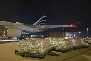 Vietnamese agricultural products shipped to the Middle East by air
